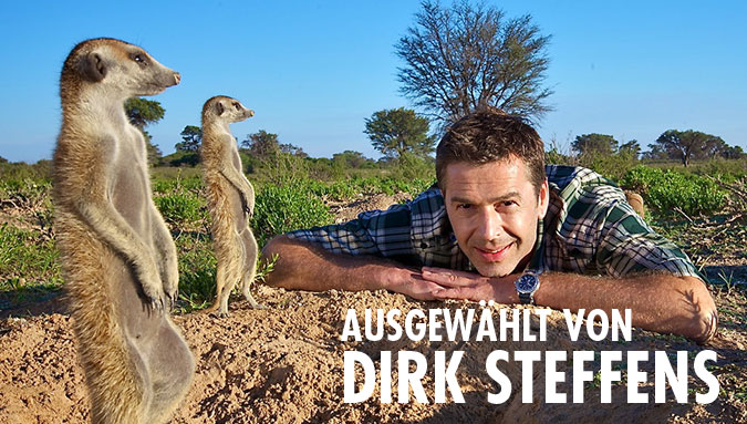 Portrait Dirk Steffens