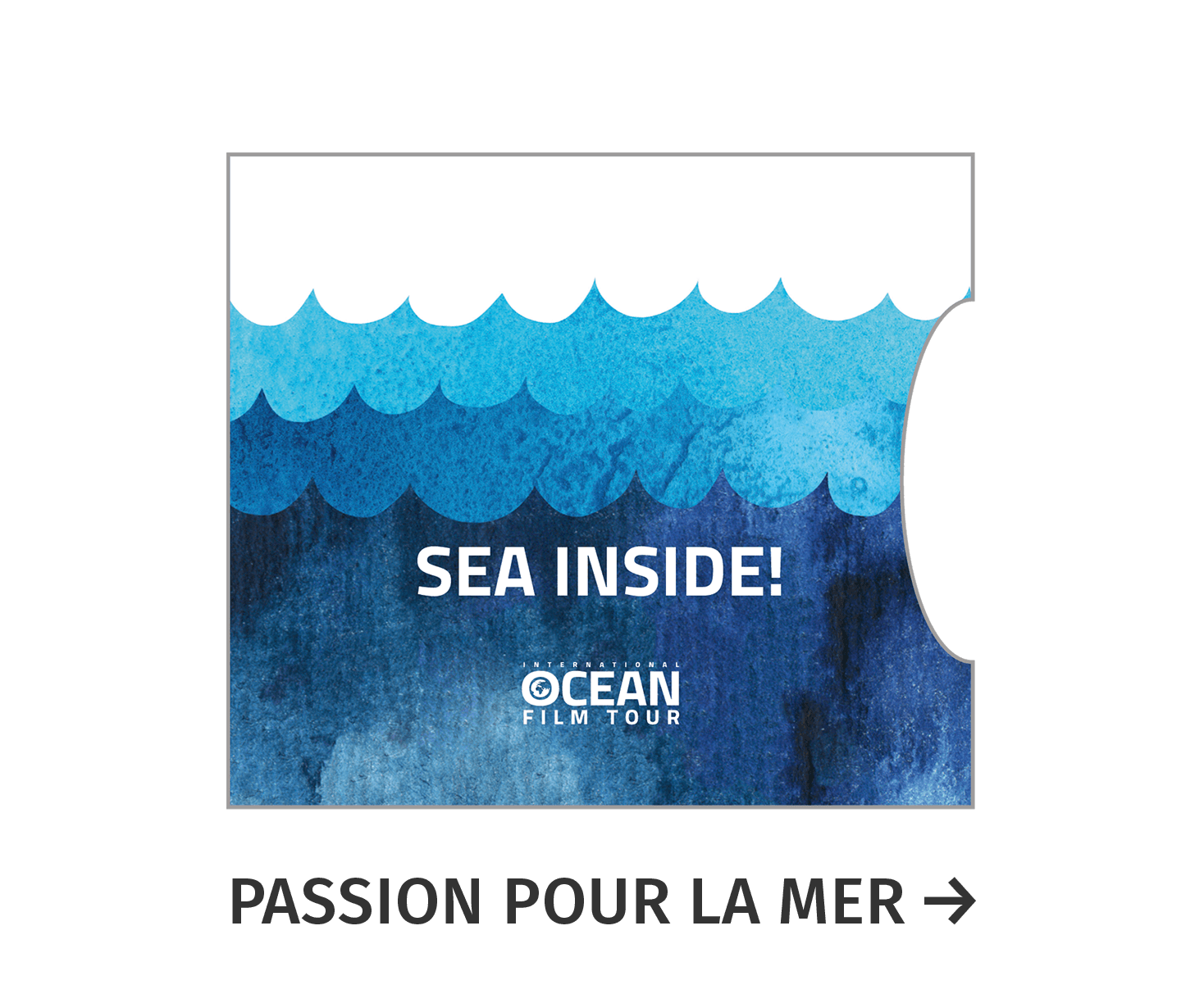 Int. Ocean Film Tour Logo