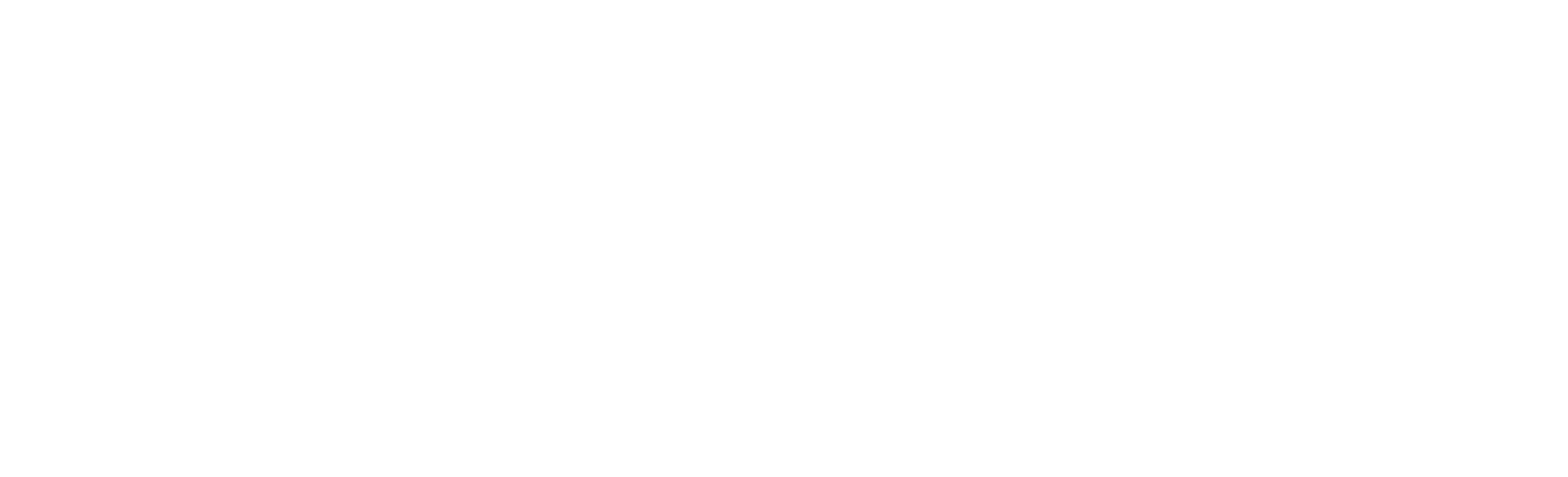 JETZT ERST RECHT! - Baro Vicenta Ra Gabbert